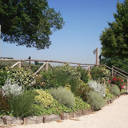 Tenuta Colverano Montefalco Exterior foto