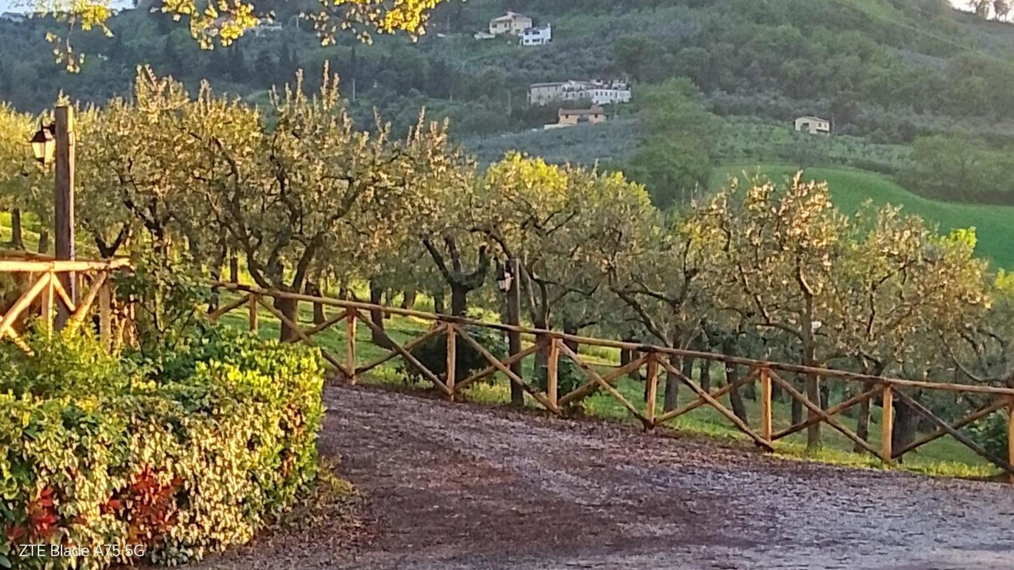 Tenuta Colverano Montefalco Exterior foto