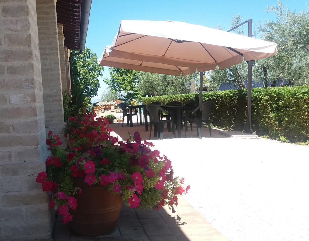 Tenuta Colverano Montefalco Exterior foto