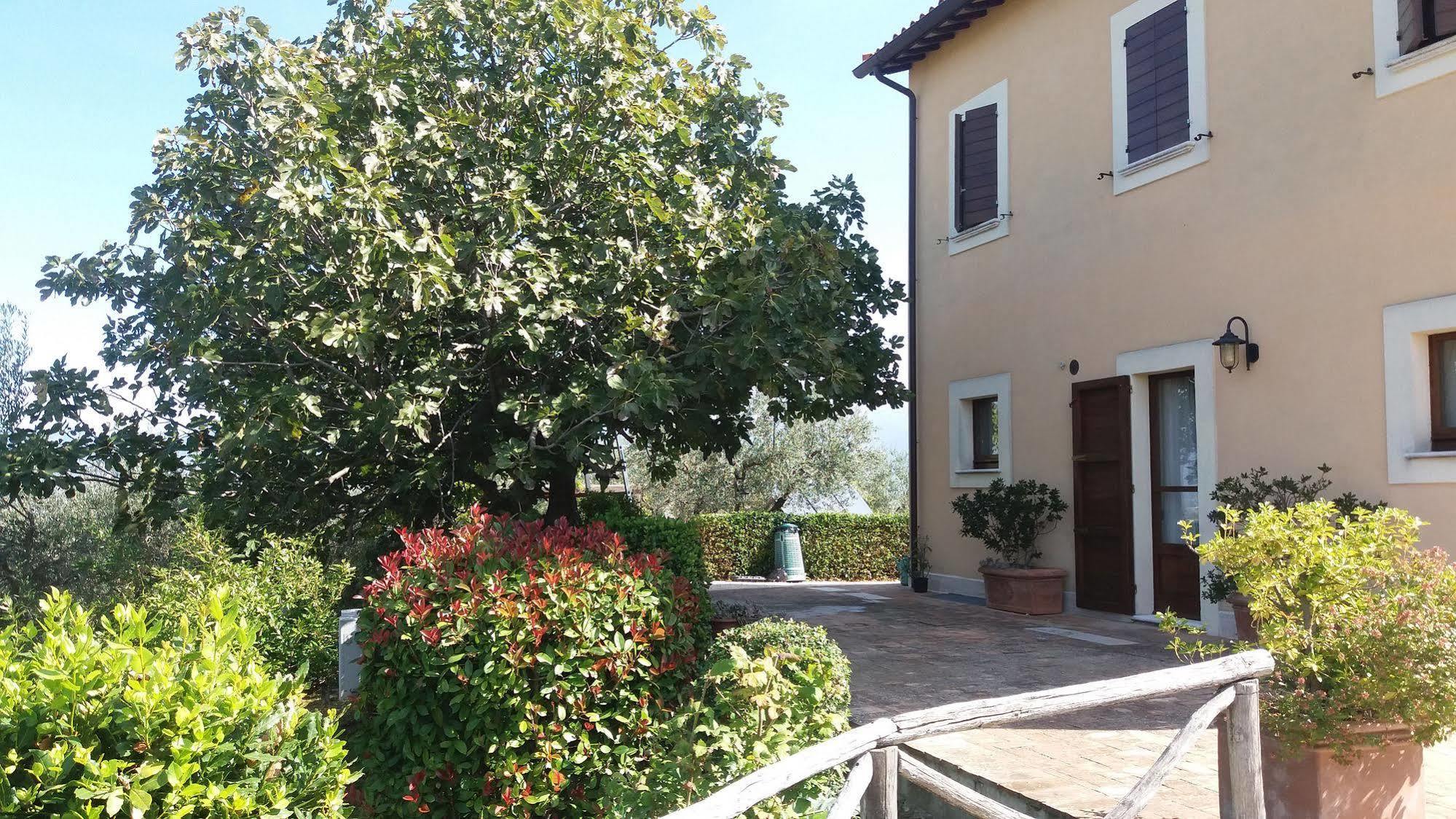 Tenuta Colverano Montefalco Exterior foto